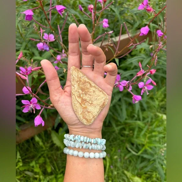 Banded Rhyolite from Alaska - Picture 3 of 5